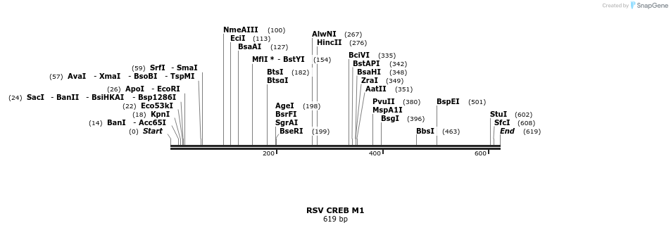 28864_map