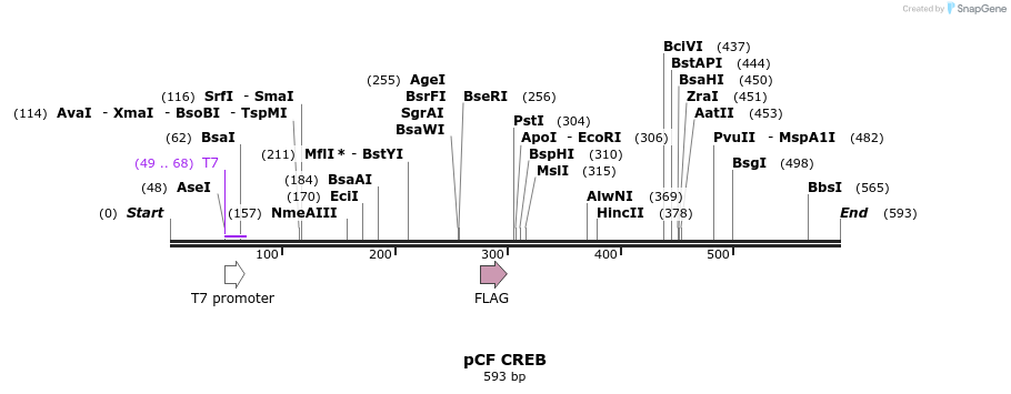 28865_map