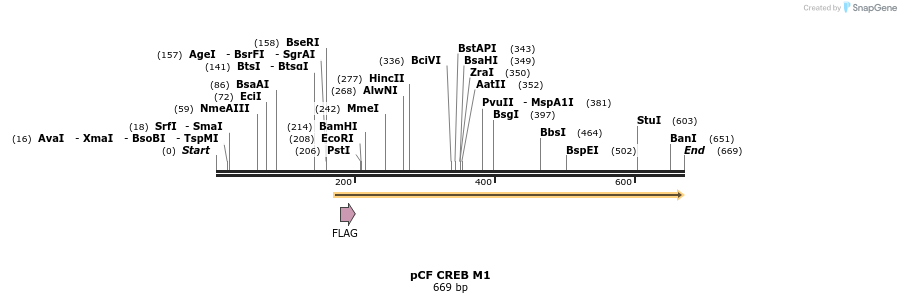 28866_map