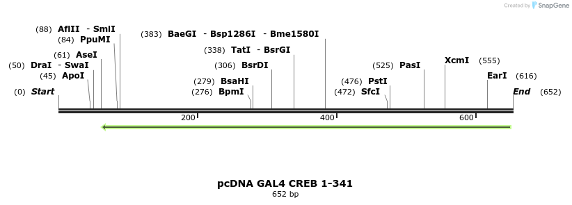 28868_map