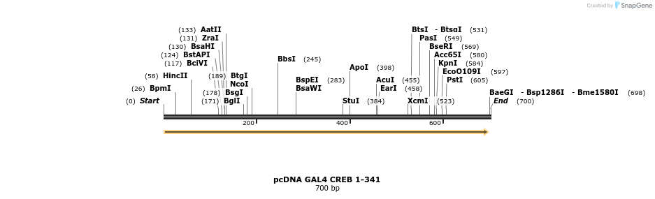 28869_map