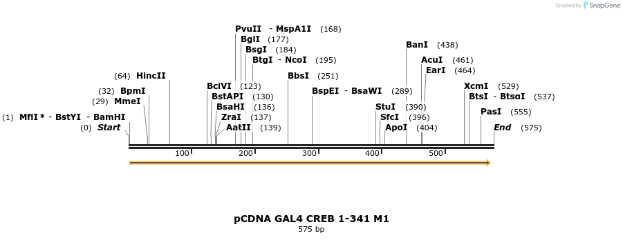 28871_map