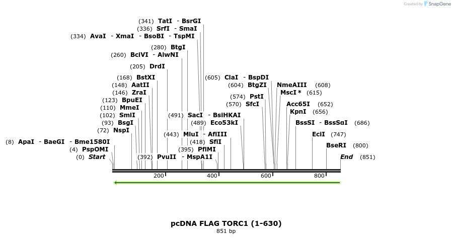 28872_map