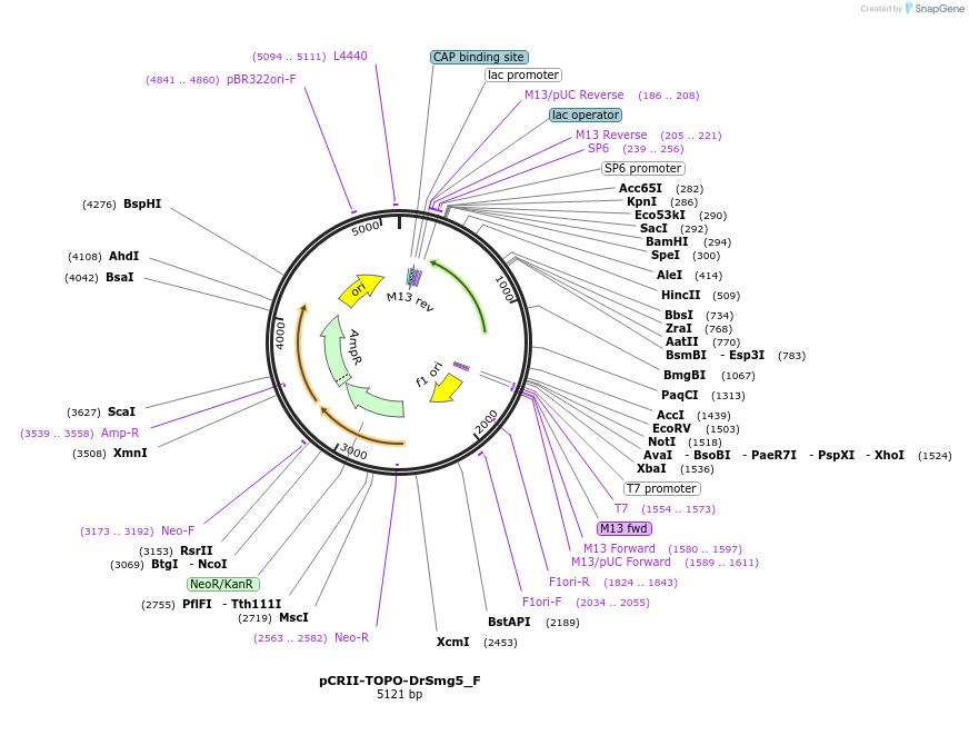 288723_map