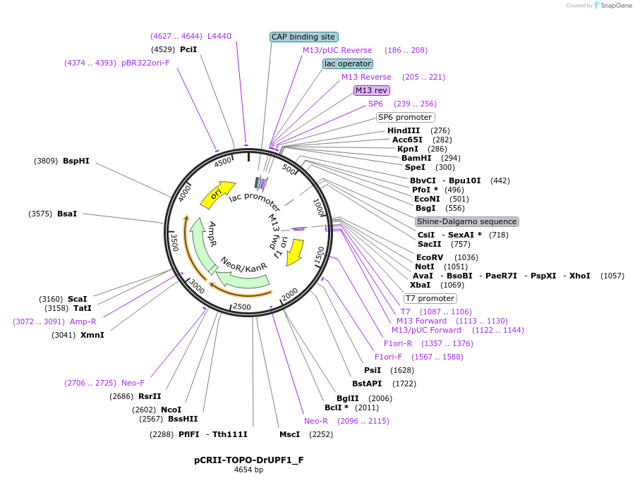 288726_map
