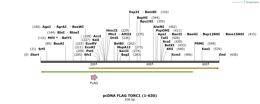 28873_map
