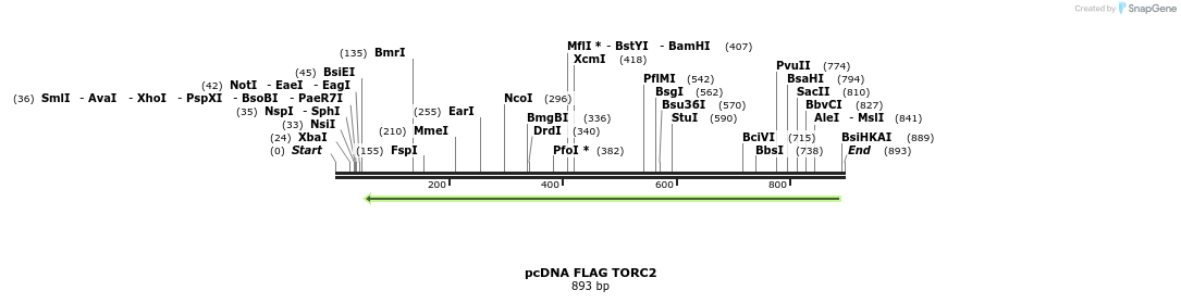 28874_map