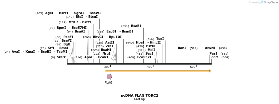 28875_map
