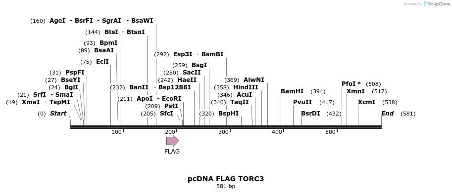 28876_map