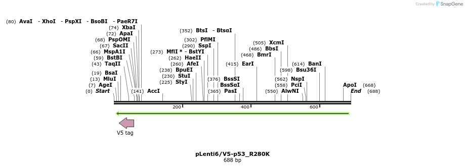 28877_map