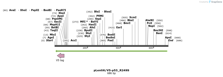 28879_map