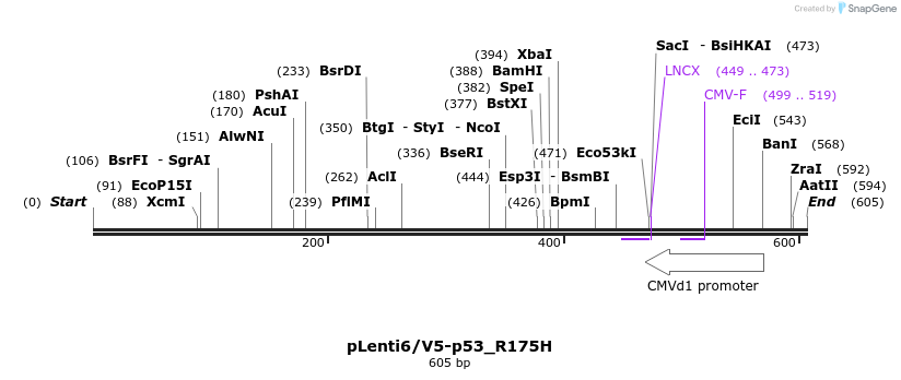 28881_map