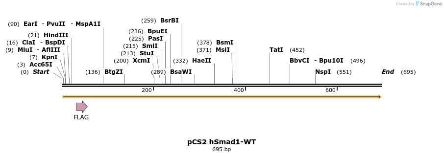 28885_map