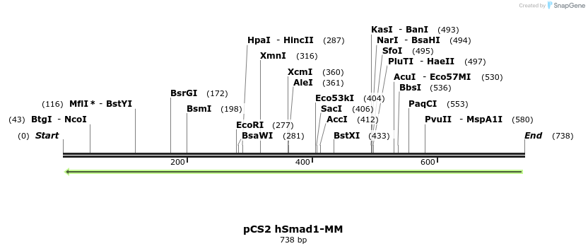 28886_map