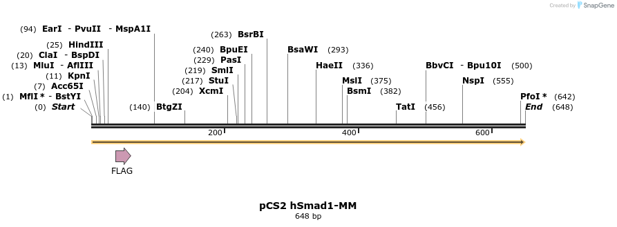 28888_map