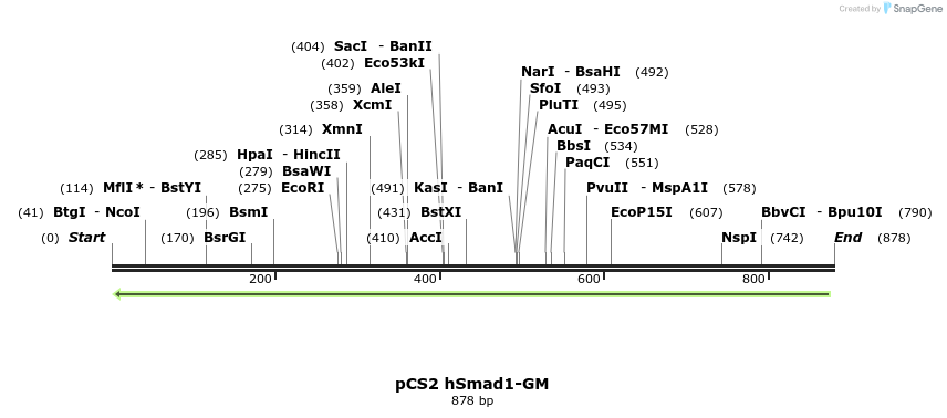 28892_map