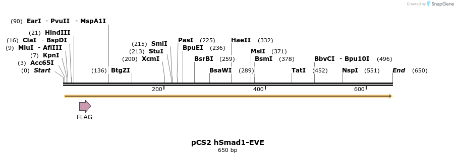 28895_map