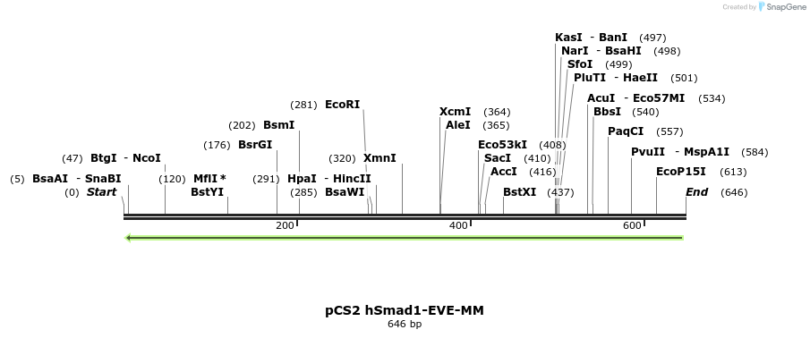 28896_map