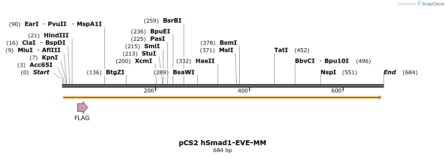 28898_map