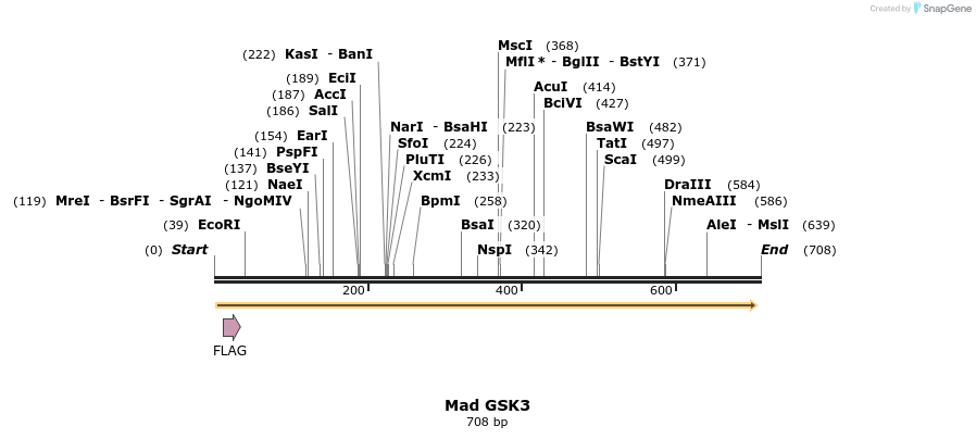 28899_map