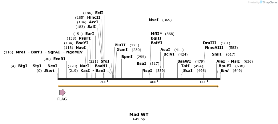 28900_map