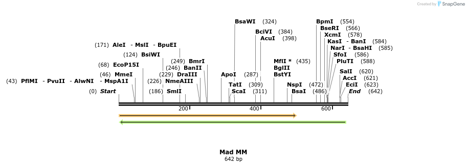 28901_map