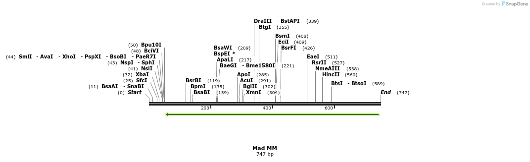28902_map