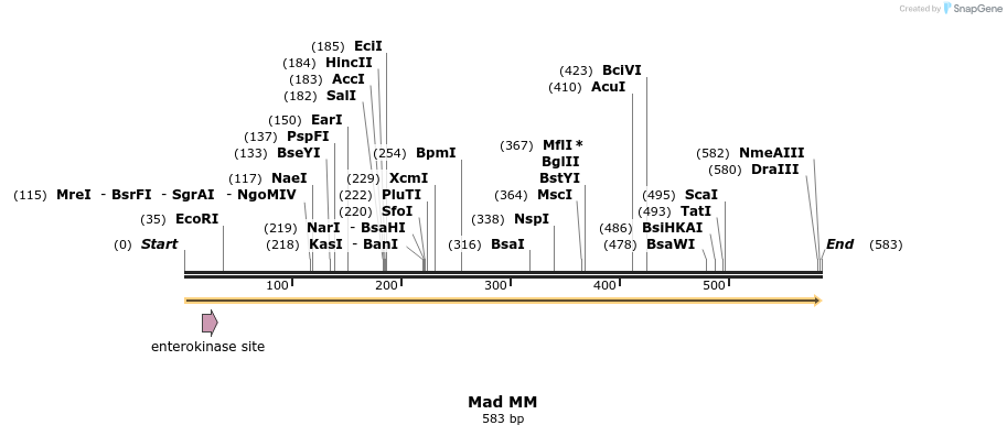 28903_map