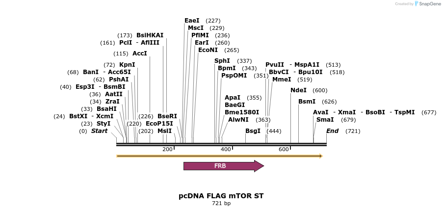 28905_map
