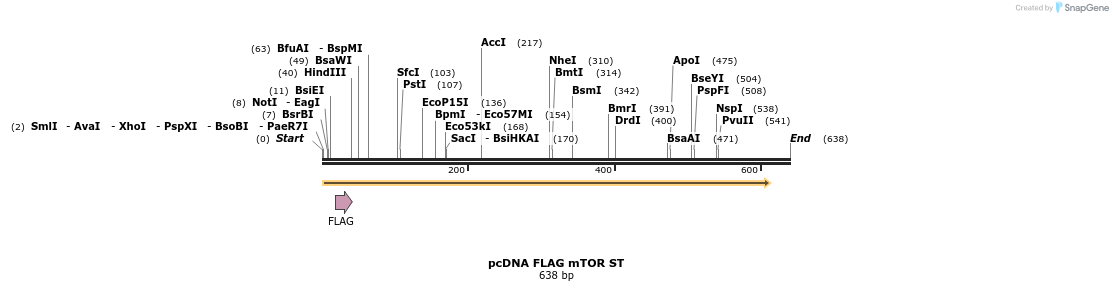 28906_map