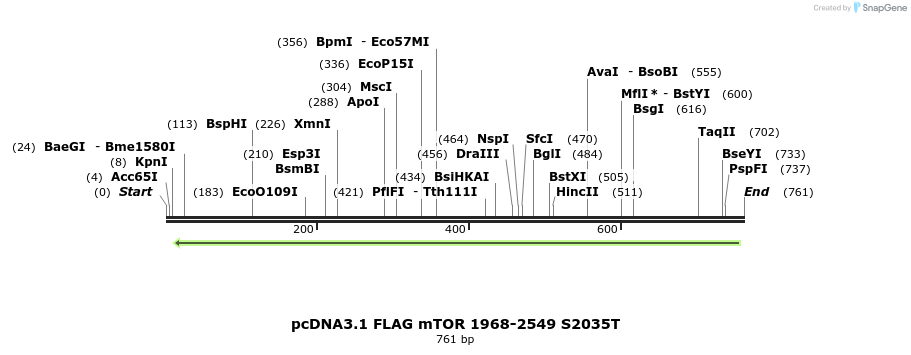 28907_map