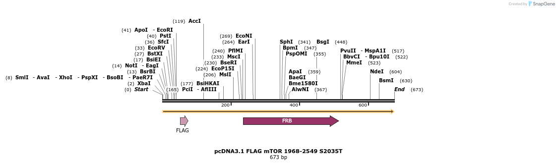 28908_map