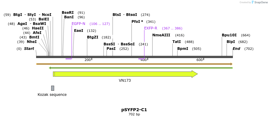28909_map