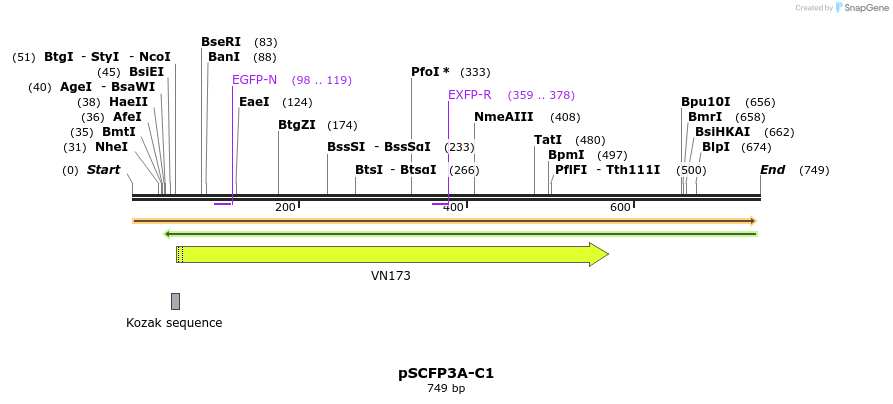 28910_map