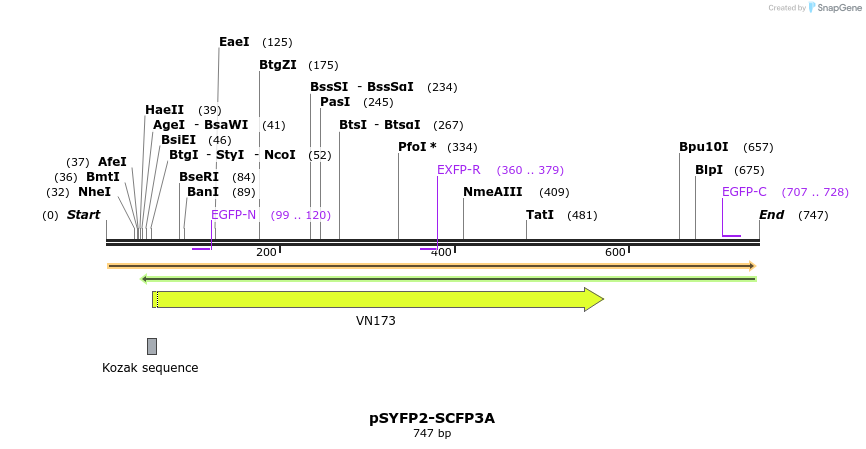 28911_map