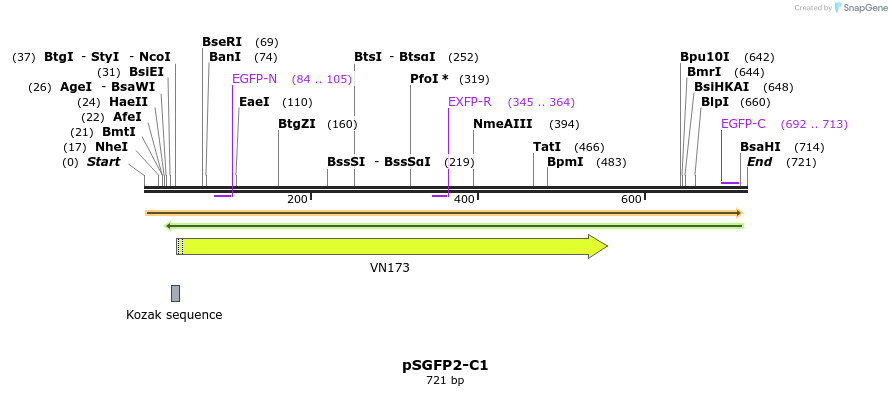 28913_map