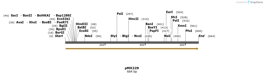 28914_map