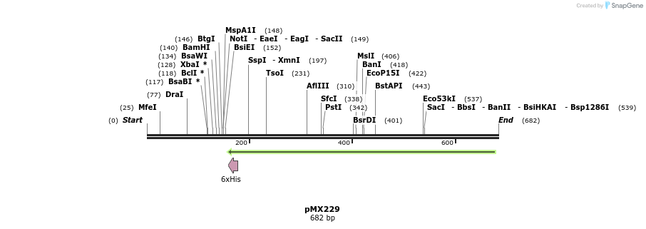 28915_map