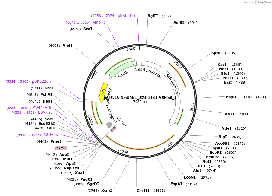 289151_map