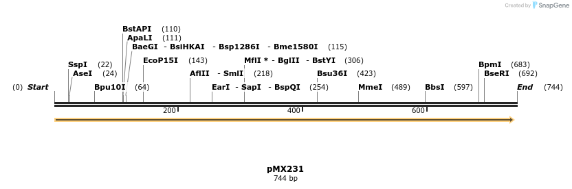 28916_map