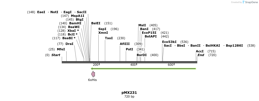 28917_map