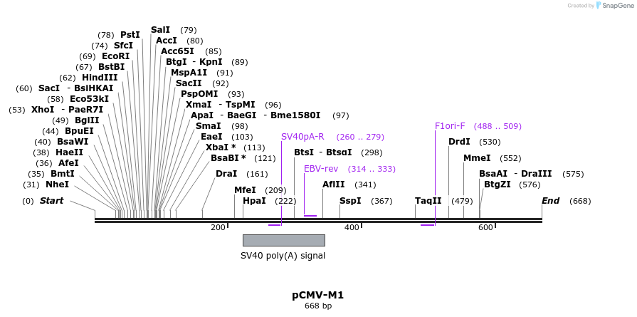 28919_map