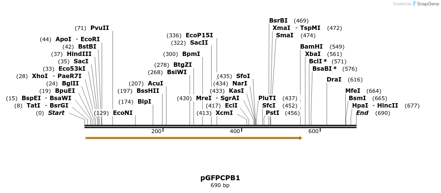 28921_map