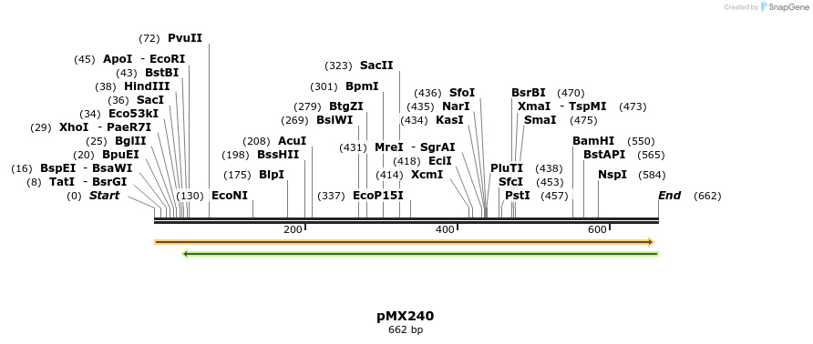 28922_map