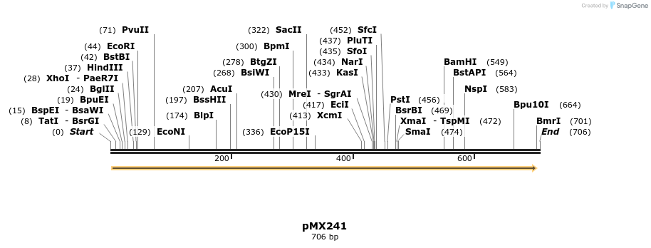 28923_map