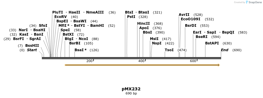 28925_map