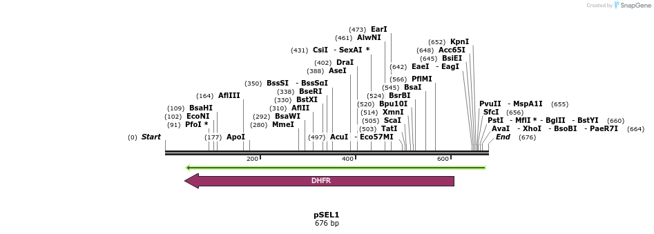 28927_map