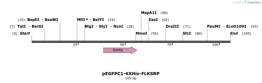 28933_map