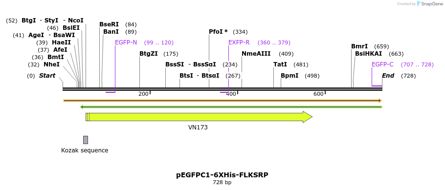 28934_map