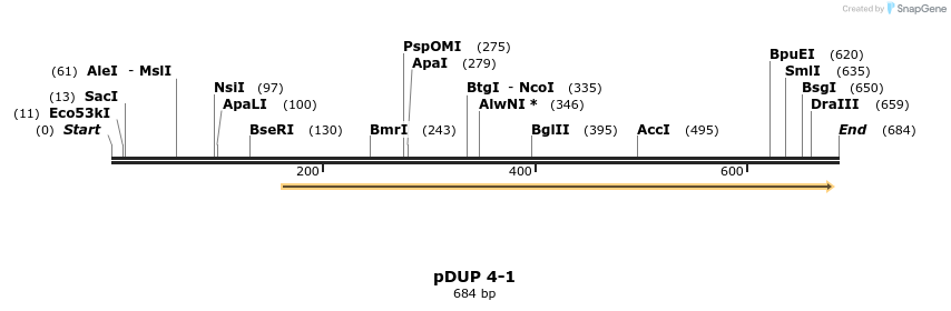 28940_map